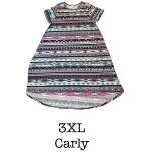 3XL LuLaRoe Carly BNWT